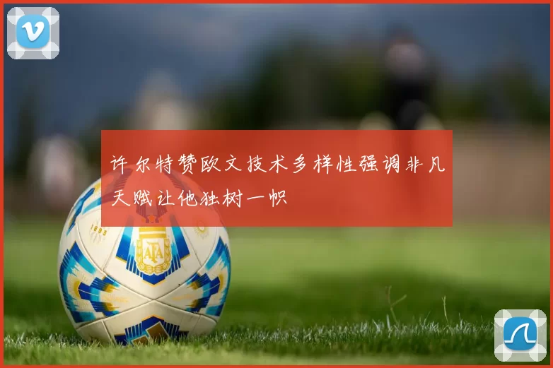 许尔特赞欧文技术多样性强调非凡天赋让他独树一帜